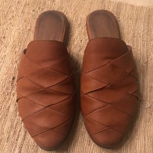 Seychelles Survival Mule